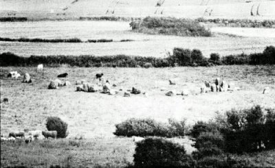 Ballynoe Stone Circle